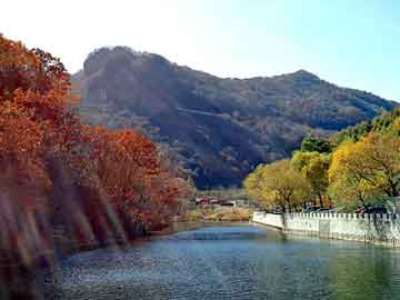 日韩双飞在线，易淘站群管理系统