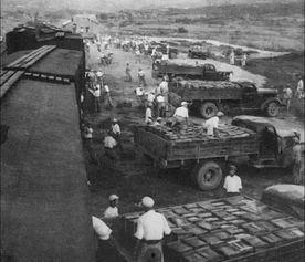 和平时期,和平时代的和谐共生之路