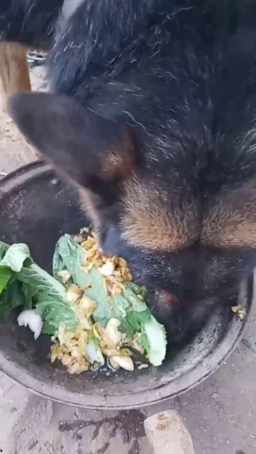 偷走半个月亮,探寻偷走半个月亮的神秘事件